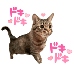 miko_20220706224430