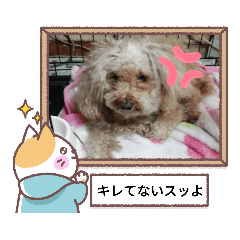 miyoko_20220706230528