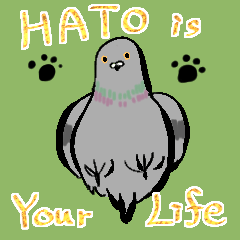 Happy Pigeon Life