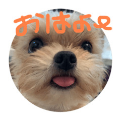 akari_20220707015720