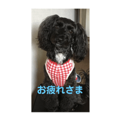 Ricky_20220706211225