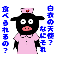 Black pig nurse