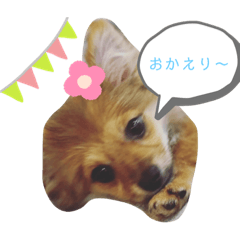 ringo_20220707091152