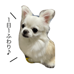 fuwa_20220707180624