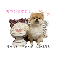 Emily_20220707024100