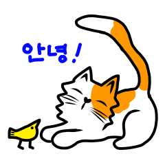 Hello my little cat (ver.Korean)