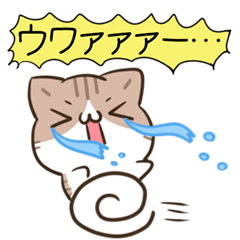 moving unmotivated calico cat Sticker4