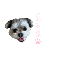Mame's stamp ^^