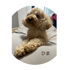 yuto_20220707215215