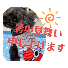 miko_20220707213329