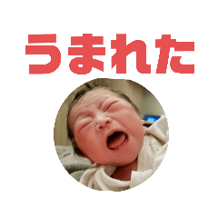 nanape_20220707213306