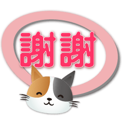 Cute Calico cat-practical daily dialog