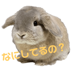 MEGUMI_20220707235608