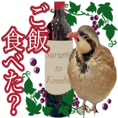Everyday life of Chukar Surume and Kombu