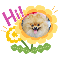 matsu_20220707220035