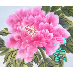 牡丹花_國色天香