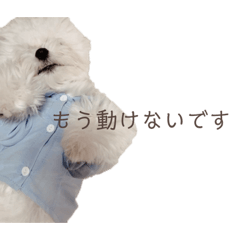 ac_19940913