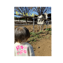 hana_20220708071505