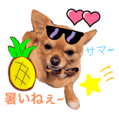 mizuki_20220708151519