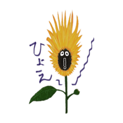 SHOKA OKUBO_20220709010843