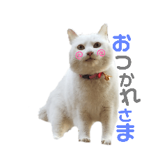 hana_20220709095849