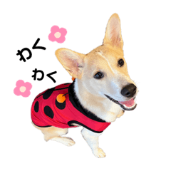 arisa_20220709103444