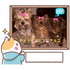 yukari_20220708194334