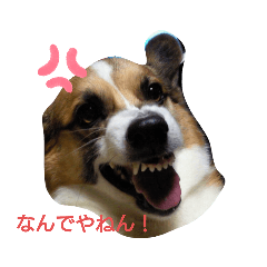 saori_20220708202617