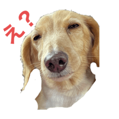 yamada_20220708223030