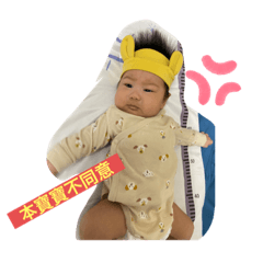 道明睿特輯1