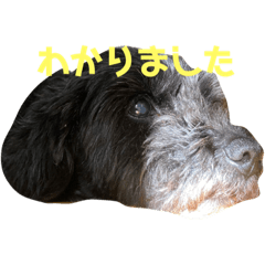 miko_20220709165044
