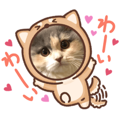 ayano_20220709153743