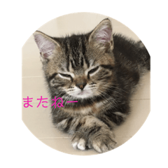 hana_20220709144021