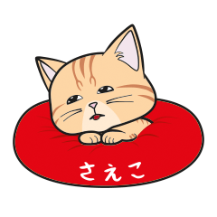 [Only for Saeko](orange tabby)