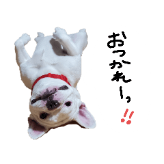 kaori_20220710013109