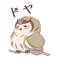 Cute Barn Owl !!
