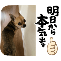 mik_20220710033532