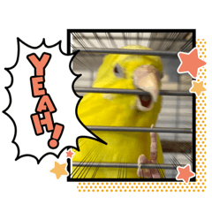 ITIGO&GUMI&nbsp; &nbsp; LAND