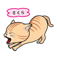 [Only for Sakura](orange tabby)