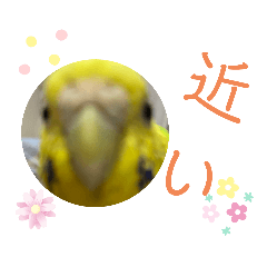 aono_20220710144725