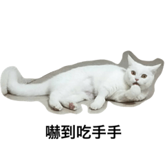 貓ㄡ