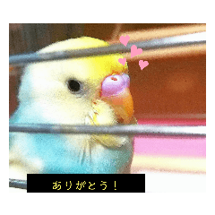 piyomaru._20220710130537