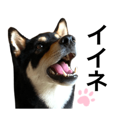 JACK_20220710162324