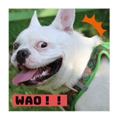 銀太の日常part2