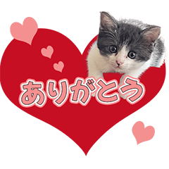 MIE and CHIBI Sticker