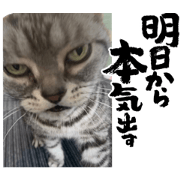 dosukoi.m_20220710232853