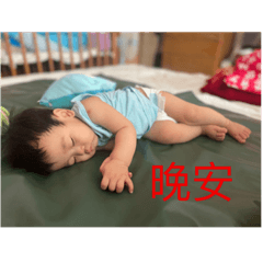 毛毛生活日常點滴