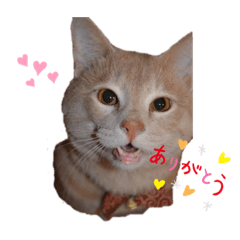 mizuki_20220711004841