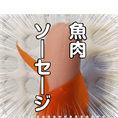 魚肉ソーセージ☆自由メッセージ
