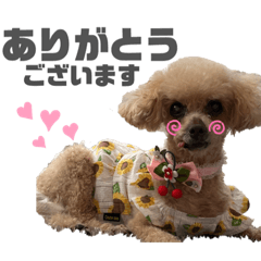 yuka_20220711091551